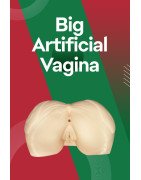 Big Artificial Vagina